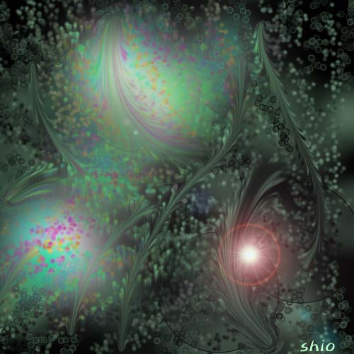 �ނ���ꂽ���B No.001