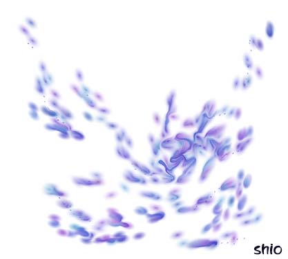 ���z��  No.011