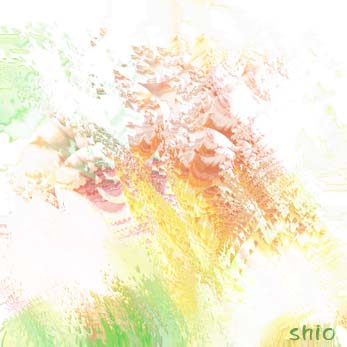 ���z��  No.015