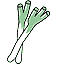 leek