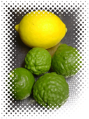 �������ƃJ�t�B�A���C�����[�t