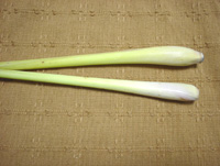 �^�N���C�i�������O���X�j