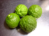 �}�b�N���[�i�J�t�B�A���C���̎��j