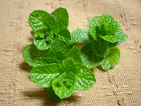 �o�C�T���l�[�i�~���g�j