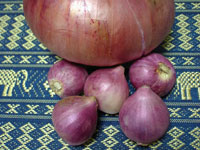 �z���f��