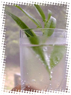 �o�[�x�i�E�H�[�^�[