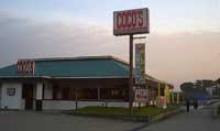 ��COCOS