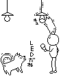 LED�d��