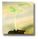 �݂��݂������I