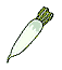 Japanese radish