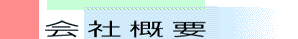 ЊTv