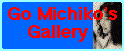 Michiko's Gallery