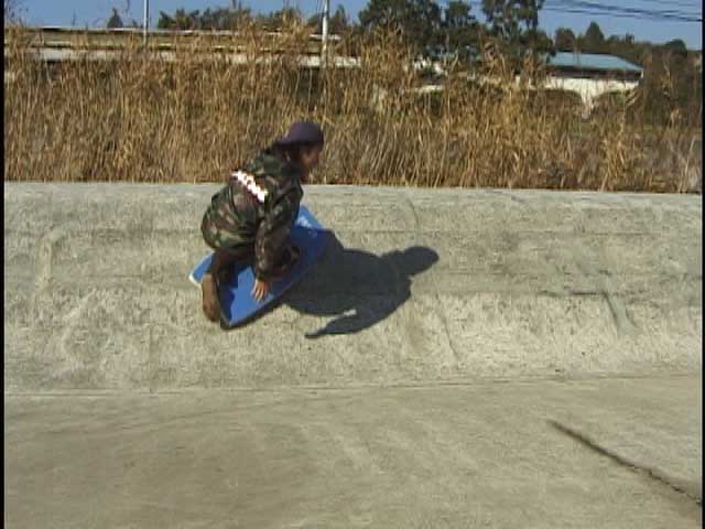DROPNEE MASTER