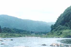 川の中央より、下流方向を望む。うーん、いい景色じゃありませんか。