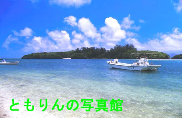 �Ƃ����̎ʐ^��