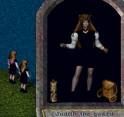 �����̉q�������