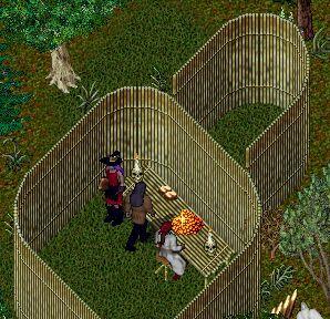 ����͉��H