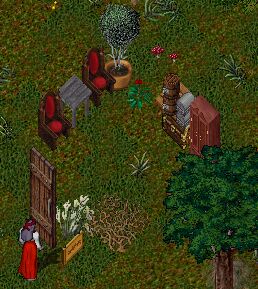 �X�P���g���ȉ�