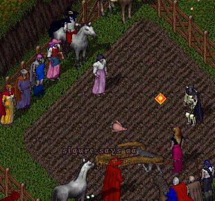 ���������C�x���g��