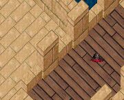 ���̎񂾂��D�D�D