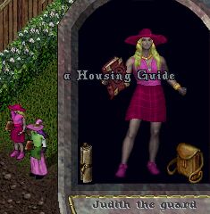 �����̉q�������