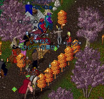 �����ĉԌ���