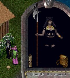 �����̉q�������