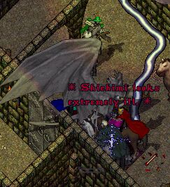 ���[���Ă��c�A�[�􂻂̂S