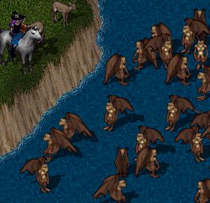 �����O���ɂāD�D�D