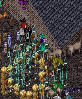 ��������̎Q