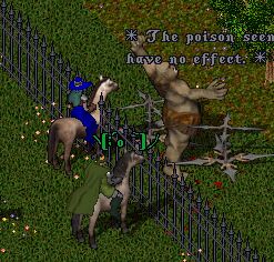 �v�X�ɂf�l�C�x���g�����̎Q