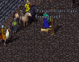 �R���p�j�I���c�A�[�I���̈�