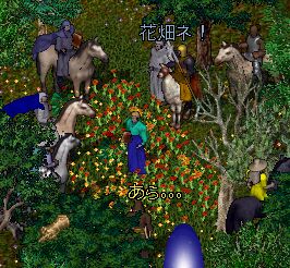 �R���p�j�I���c�A�[�I���̎J