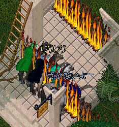 �R����ƁD�D�Dyasu�����