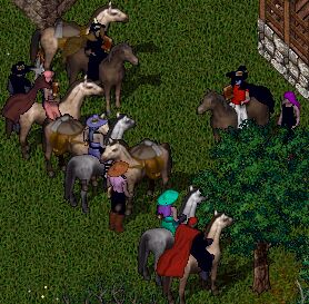 ��W�߃C�x���g�I