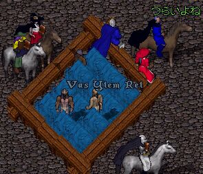 �I�V���C�`��