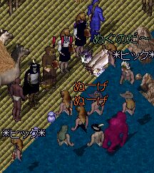 ������Thyme���ɂ��D�D�D