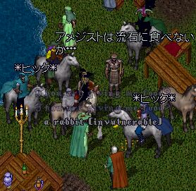 �����Ă����q���D�D�D