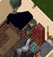 �O�����h�s�A�m��