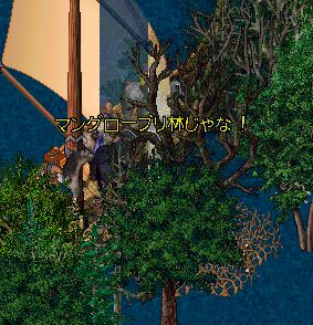 �C�ɐX���I�I�I