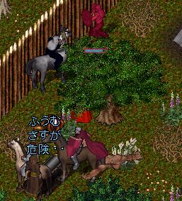 �T�{�b�e�B�[�N�Ƃ��U�������̌�