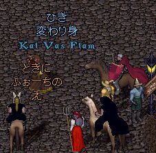 �T�{�b�e�B�[�N�Ƃ��U�������̎�