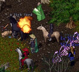 ���C�����u���e���܂ŉ^�ׁI���̈�