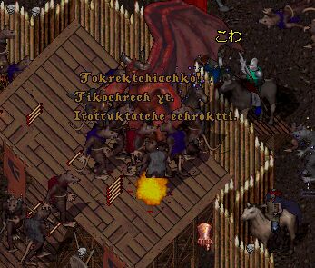 �`���[�^�Ő������c�A�[