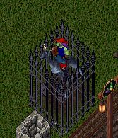 ���̂��B���D�D�D