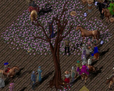 �傫�ȍ��̖؂s�c�o�[�W������