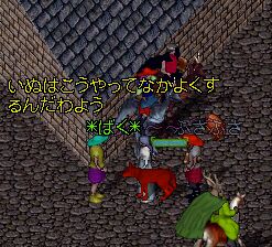 �����������Ƃ߂肿����