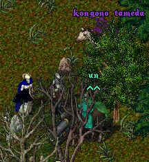 �M���h���C�x���g�I�I