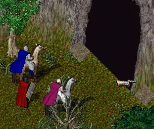 �V�F�C���̓�����I�I