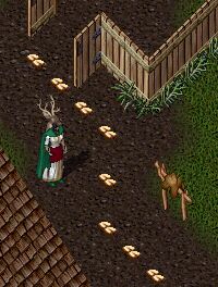 �o�������Q�e�I�I�X�J���҂Q